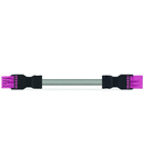 pre-assembled interconnecting cable; Eca; Socket/plug; 5-pole; Cod. B; 2 m; 1,00 mm²; pink