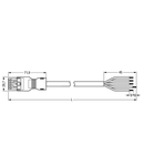 pre-assembled connecting cable; Eca; Socket/open-ended; 5-pole; Cod. A; H05Z1Z1-F 5G 1.5 mm²; 7 m; 1,50 mm²; white