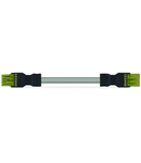 pre-assembled interconnecting cable; Eca; Socket/plug; 5-pole; Cod. B; 8 m; 1,50 mm²; light green