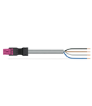 pre-assembled connecting cable; Eca; Socket/open-ended; 4-pole; Cod. B; Control cable 4 x 1.5 mm²; 8 m; 1,50 mm²; pink