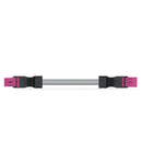 pre-assembled interconnecting cable; Eca; Socket/plug; 4-pole; Cod. B; Control cable 4 x 1.5 mm²; 8 m; 1,50 mm²; pink
