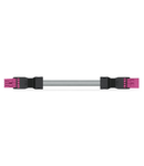 pre-assembled interconnecting cable; Eca; Socket/plug; 4-pole; Cod. B; Control cable 4 x 1.5 mm²; 7 m; 1,50 mm²; pink