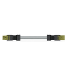 pre-assembled interconnecting cable; Eca; Socket/plug; 4-pole; Cod. B; Control cable 4 x 1.5 mm²; 2 m; 1,50 mm²; light green