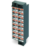 Matrix patchboard; 32-pole; Marking 33-64; Color of modules: blue; for 19" racks; 1,50 mm²; dark gray