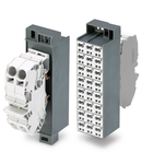 Common potential matrix patchboard; Marking 1-24; with 2 input modules incl. end plate; Color of modules: white; Numbering of modules arranged vertically; for 19" racks; Slimline version; 16,00 mm²; dark gray