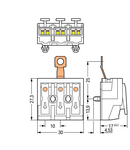 Lighting connector; push-button, external; with direct ground contact; 3-pole; Lighting side: for solid conductors; Inst. side: for all conductor types; max. 2.5 mm²; Surrounding air temperature: max 85°C (T85); 2,50 mm²; white