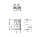 Lighting connector; push-button, external; without ground contact; 2-pole; Lighting side: for solid conductors; Inst. side: for all conductor types; max. 2.5 mm²; Surrounding air temperature: max 85°C (T85); 2,50 mm²; white