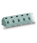 PCB terminal block; 2.5 mm²; Pin spacing 10/10.16 mm; 24-pole; CAGE CLAMP®; commoning option; 2,50 mm²; gray