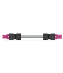 pre-assembled interconnecting cable; Eca; Socket/plug; 2-pole; Cod. B; Control cable 2 x 1.5 mm²; 8 m; 1,50 mm²; pink