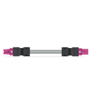 pre-assembled interconnecting cable; Eca; Socket/plug; 2-pole; Cod. B; Control cable 2 x 1.5 mm²; 5 m; 1,50 mm²; pink