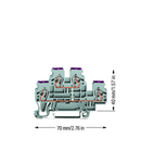 Double-deck terminal block; 4-conductor through terminal block; L; internal commoning; conductor entry with violet marking; for DIN-rail 35 x 15 and 35 x 7.5; 2.5 mm²; CAGE CLAMP®; 2,50 mm²; gray