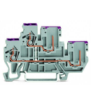 2-conductor/2-pin, double-deck carrier terminal block; 2-conductor/2-pin through terminal block; L; internal commoning; conductor entry with violet marking; for DIN-rail 35 x 15 and 35 x 7.5; 2.5 mm²; CAGE CLAMP®; 2,50 mm²; gray