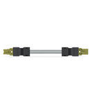 pre-assembled interconnecting cable; B2ca; Socket/plug; 2-pole; Cod. B; 5 m; 1,00 mm²; light green