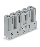 Plug for PCBs; straight; 5-pole; Cod. B; gray