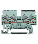 Double potential terminal block; 2.5 mm²; side and center marking; for DIN-rail 35 x 15 and 35 x 7.5; CAGE CLAMP®; 2,50 mm²; gray