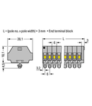 2-conductor terminal strip; with snap-in mounting feet; for plate thickness 0.6 - 1.2 mm; Fixing hole 3.5 mm Ø; also fits 210-154 aluminum rail or with 209-123 mounting carrier for DIN 35 rail; 3-pole; 2,50 mm²; gray