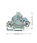 2-conductor actuator terminal block; with colored conductor entries; 2.5 mm²; CAGE CLAMP®; 2,50 mm²; gray