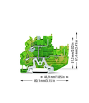 2-conductor/2-pin, double-deck carrier terminal block; 2-conductor/2-pin ground terminal block; PE; internal commoning; for DIN-rail 35 x 15 and 35 x 7.5; 2.5 mm²; Push-in CAGE CLAMP®; 2,50 mm²; green-yellow