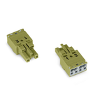 Socket; 2-pole; Cod. B; 4,00 mm²; light green