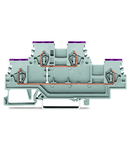 Double-deck terminal block; 4-conductor through terminal block; L; internal commoning; conductor entry with violet marking; for DIN-rail 35 x 15 and 35 x 7.5; 1.5 mm²; CAGE CLAMP®; 1,50 mm²; gray