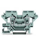 2-conductor through terminal block; 10 mm²; lateral marker slots; for DIN-rail 35 x 15 and 35 x 7.5; CAGE CLAMP®; 10,00 mm²; blue