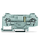 2-conductor through terminal block; 6 mm²; with test option; for 4 mm Ø test plugs; same profile as 2-conductor disconnect terminal block; lateral marker slots; for DIN-rail 35 x 15 and 35 x 7.5; CAGE CLAMP®; 6,00 mm²; gray