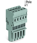 1-conductor female plug; 4 mm²; 10-pole; 4,00 mm²; gray