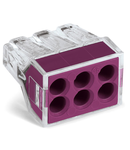 PUSH WIRE® conector clema pentru conductor rigid; max. 2.5 mm²; 6 borne; transparent ; violet 