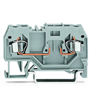 2-conductor carrier terminal block; for DIN-rail 35 x 15 and 35 x 7.5; 2.5 mm²; CAGE CLAMP®; 2,50 mm²; gray