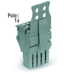 1-conductor female plug; Strain relief plate; 2.5 mm²; 2-pole; 2,50 mm²; gray