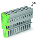 1-conductor female plug; 4 mm²; 13-pole; 4,00 mm²; green-yellow, gray
