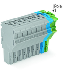 1-conductor female plug; 2.5 mm²; 10-pole; 2,50 mm²; gray, blue, green-yellow