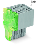 2-conductor female connector; 1.5 mm²; 8-pole; 1,50 mm²; green-yellow, gray