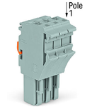 1-conductor female plug; 2.5 mm²; 2-pole; 2,50 mm²; gray