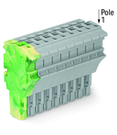 1-conductor female plug; 2.5 mm²; 10-pole; 2,50 mm²; green-yellow, gray