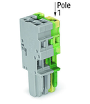 1-conductor female plug; 4 mm²; 2-pole; 4,00 mm²; gray, green-yellow