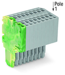 2-conductor female connector; 1.5 mm²; 10-pole; 1,50 mm²; green-yellow, gray