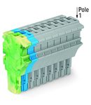 1-conductor female plug; 2.5 mm²; 11-pole; 2,50 mm²; green-yellow, blue, gray