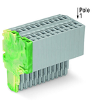 2-conductor female connector; 1.5 mm²; 15-pole; 1,50 mm²; green-yellow, gray