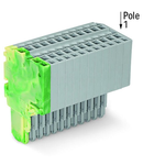 2-conductor female connector; 1.5 mm²; 14-pole; 1,50 mm²; green-yellow, gray
