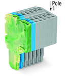 2-conductor female connector; 1.5 mm²; 8-pole; 1,50 mm²; green-yellow, blue, gray