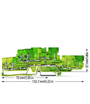 4-conductor/4-pin, double-deck carrier terminal block; 4-conductor/4-pin ground terminal block; PE; internal commoning; for DIN-rail 35 x 15 and 35 x 7.5; 2.5 mm²; CAGE CLAMP®; 2,50 mm²; green-yellow