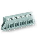 PCB terminal block; push-button; 2.5 mm²; Pin spacing 5 mm; 2-pole; CAGE CLAMP®; clamping collar; 2,50 mm²; gray