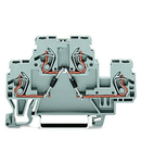 Component terminal block; double-deck; with 2 diodes 1N4007; Top anode; for DIN-rail 35 x 15 and 35 x 7.5; 2.5 mm²; CAGE CLAMP®; 2,50 mm²; gray