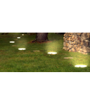 Lemn luminoas LED, buturuga Fetta Legno Culoare lemn natur