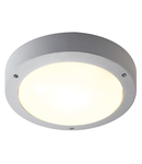 Corp iluminat tavan, exterior perete DRAGAN sI lumenul Plafon, TC- (D, H, T, Q) SE, IP44, GRI-argintiu, cu senzor, max. 48W,