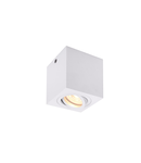 Corp iluminat TAVAN, TRILEDO GU10 Plafonul Luminita, alb interior Montat pe suprafata de lumina Plafon, QPAR51, alb, 10W max,