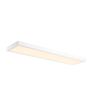 Corp iluminat TAVAN, Luminita Plafon panou, alb de lumini Plafon pe suprafata INTERIOARa Barele de LED-uri 1200x300mm alb 3000K,