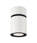 Corp iluminat TAVAN, SUPROS de lumini tavan, lumina alb Plafon, LED-uri, 3000K, rotunde, de culoare alba, 2100lm, 60 ° reflector, including. clip Arcuri,