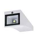 Corp iluminat de perete, aplica, Delwa lumina de perete exterior, cu LED-uri, 3000K, IP44, alb, 4W,